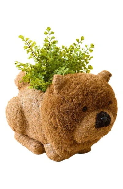 Likha Chow Chow Handwoven Planter In Brown