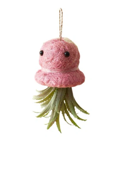 Likha Coco Coir Hanging Planter For Air Plants In Pink