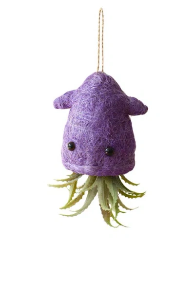 Likha Coco Coir Hanging Planter For Air Plants In Purple