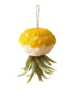 Likha Coco Coir Hanging Planter For Air Plants In Yellow