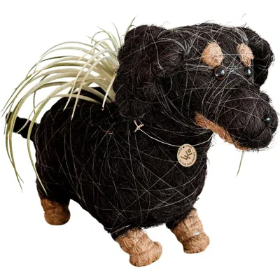 Likha Dachshund Handwoven Planter In Brown