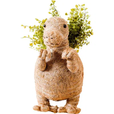 Likha Dinosaur Coco Coir Planters In Brown