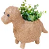 Likha Dinosaur Coco Coir Planters In Brown