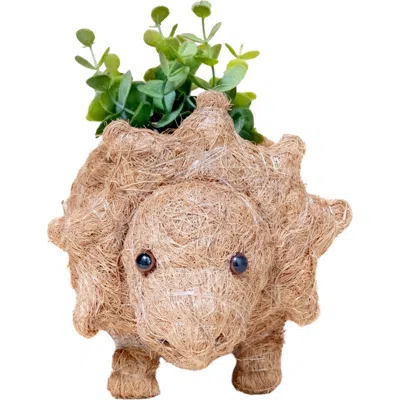 Likha Dinosaur Coco Coir Planters In Brown