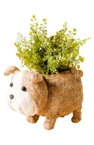 Likha English Bulldog Handwoven Planter In Brown