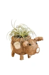 Likha Farm Animal Coco Coir Planters In Brown