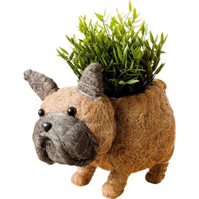 Likha French Bulldog Handwoven Planter In Brown
