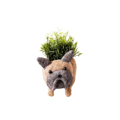 Likha French Bulldog Planter - Coco Coir Pots Likhâ In Brown/gray