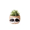 Likha Large Three-tone Sloth - Black In Black