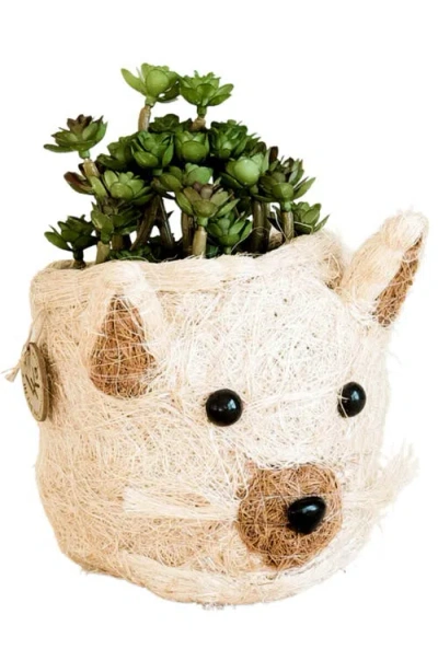 Likha Mini Cat Succulent Planter In Neutral
