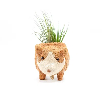 Likha Neutrals Coco Coir Animal Planter - Baby Corgi