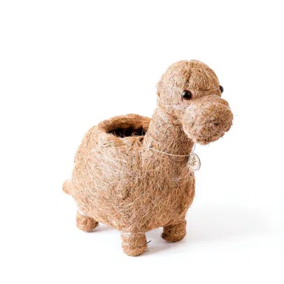 Likha Neutrals Coco Coir Animal Planter - Brontosaurus