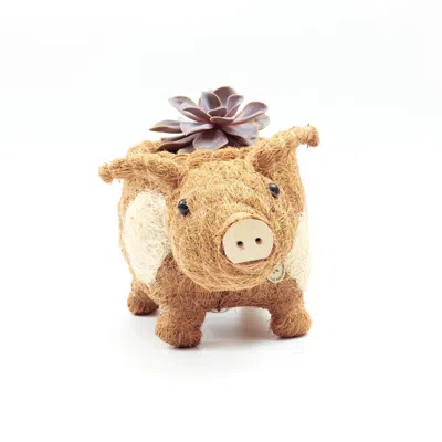 Likha Neutrals Coco Coir Animal Planter Country Pig