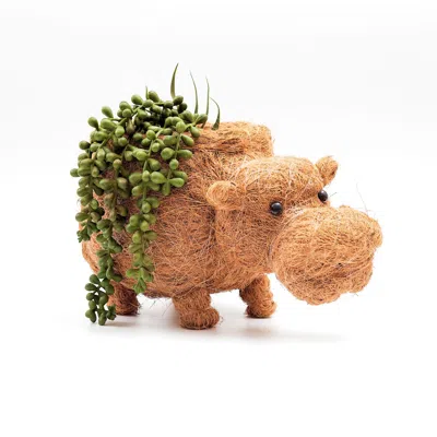 Likha Neutrals Coco Coir Animal Planter Hippo