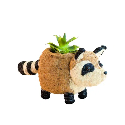 Likha Neutrals Coco Coir Animal Planter Raccoon In Multi
