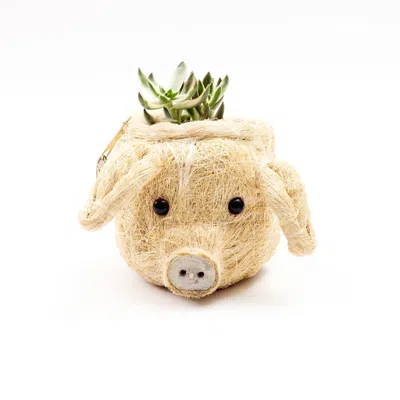 Likha Neutrals Coco Coir Mini Pig