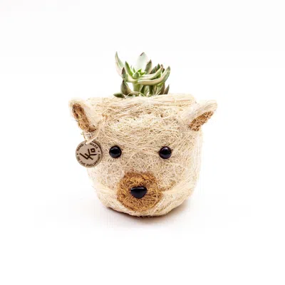 Likha Neutrals Coco Coir Mini Pot Cat