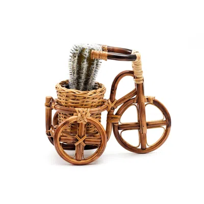 Likha Neutrals Rattan Bike Planter Large