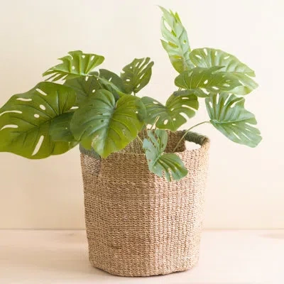 Likha Octagon Basket In Green