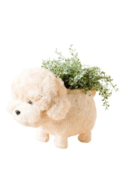 Likha Poodle Handwoven Planter In Neutral