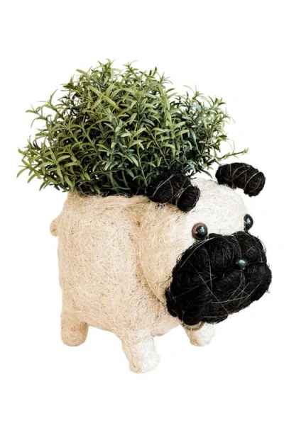 Likha Pug Handwoven Planter In Black