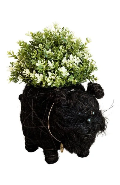 Likha Schnauzer Handwoven Planter In Black