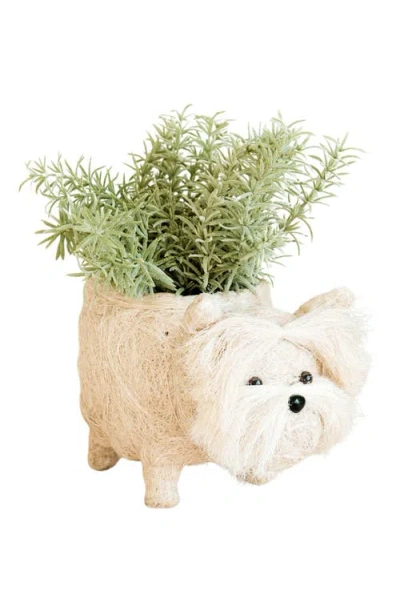 Likha Westie Handwoven Planter In Neutral