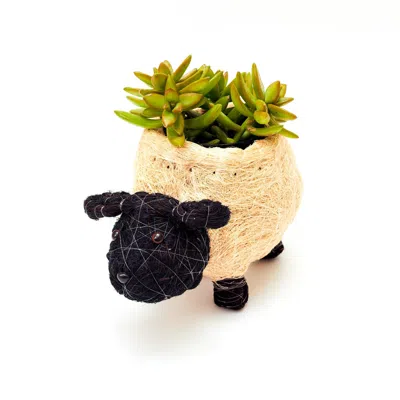 Likha White Coco Coir Animal Planter Sheep