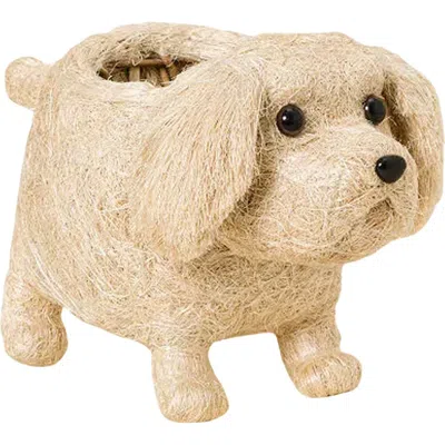 Likha White Labrador Handwoven Planter In Neutral
