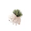 Likha White Poodle Planter - Coco Coir Pots Likhâ In White