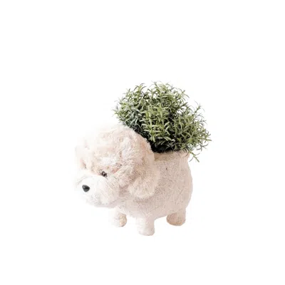 Likha White Poodle Planter - Coco Coir Pots Likhâ