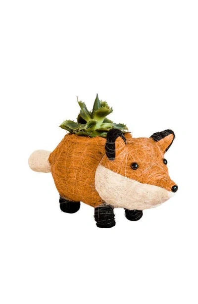 Likha Orange Coco Coir Animal Planter Baby Fox In Multi