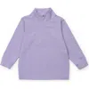 Lila And Hayes Sam Quarter Zip Pullover By Lh Sport In Purple Stripes