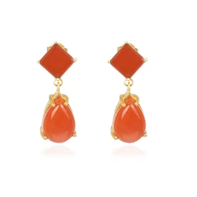 Lila Rasa Women's Gold / Red Red Carnelian Stone Earring In Orange