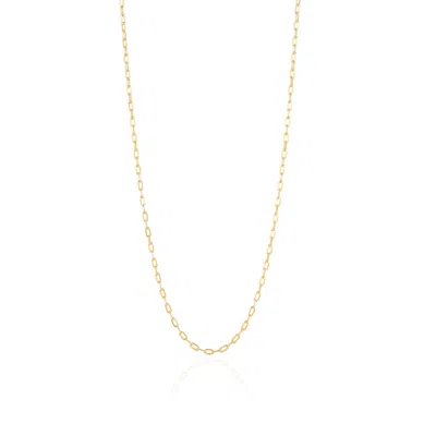 Lila Rasa Women's Paperclip Chain Necklace Xsmall Gold