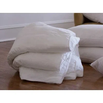 Lili Alessandra All Season Down Comforter In White