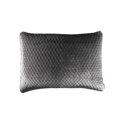 Lili Alessandra Enzo Ivory Standard Pillow 20x26 In Ash