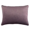 Lili Alessandra Valentina Quilted Velvet Luxe Euro Decorative Pillow, 27 X 36 In Raisin