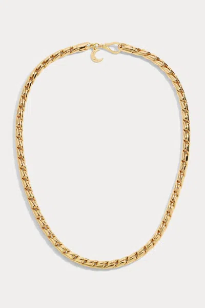 Lili Claspe Large Bruna Chain Necklace In Gold