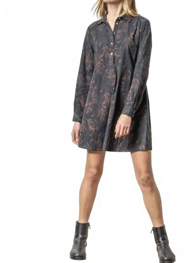 Lilla P Belted Long Sleeve Shirt Dress In Onyx/java Print In Multi
