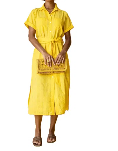 Lilla P Belted Shirt Dress In Saffron In Yellow
