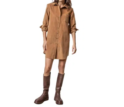 Lilla P Corduroy Midi Shirt Dress In Acorn In Brown