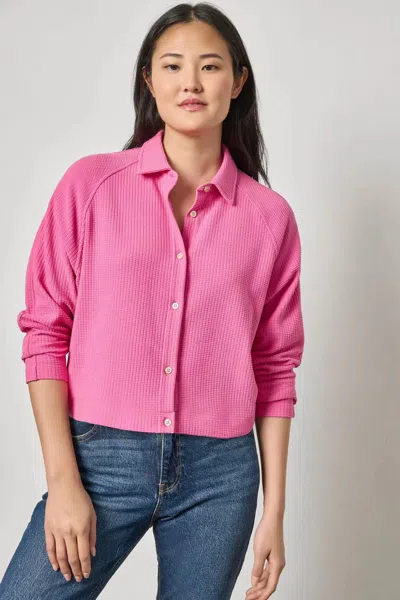 Lilla P Easy Raglan Button Down Top In Dahlia In Pink