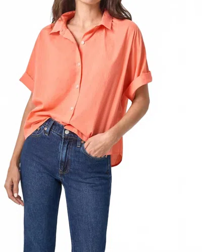 Lilla P Elbow Sleeve Button Down Shirt In Nectar In Multi