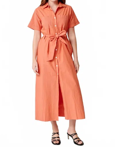 Lilla P Eyelet Trim Maxi Shirt Dress In Terracotta In Orange