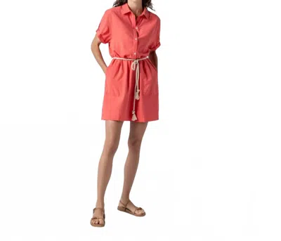 Lilla P Half Placket Shirt Dress In Reef In Pink