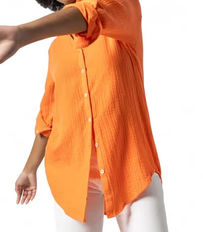 LILLA P LONG SLEEVE BUTTON DOWN TUNIC IN TANGELO