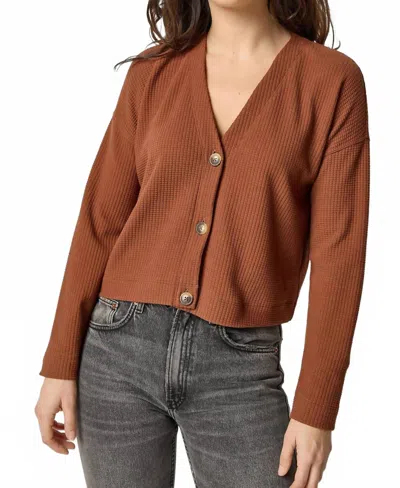 Lilla P Long Sleeve Cardigan In Praline In Brown