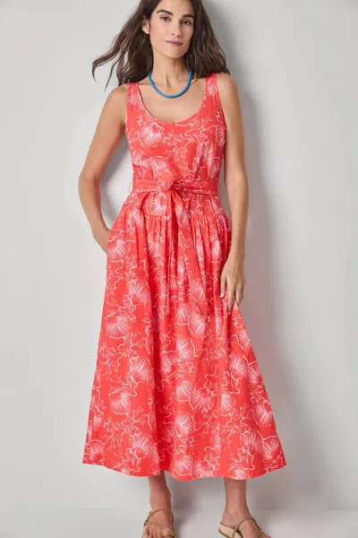 Lilla P Poplin Midi Yoke Dress In Zinnia Print In Red
