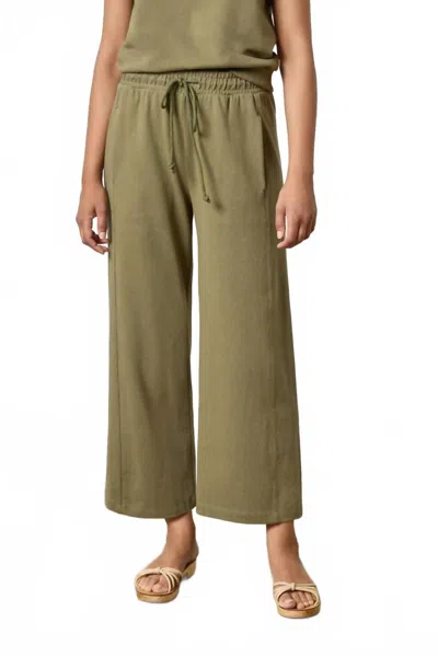 Lilla P Seamed Wide Leg Pants In Kelp In Green